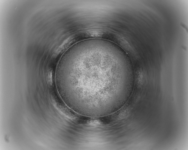 X0000100900262200807011227