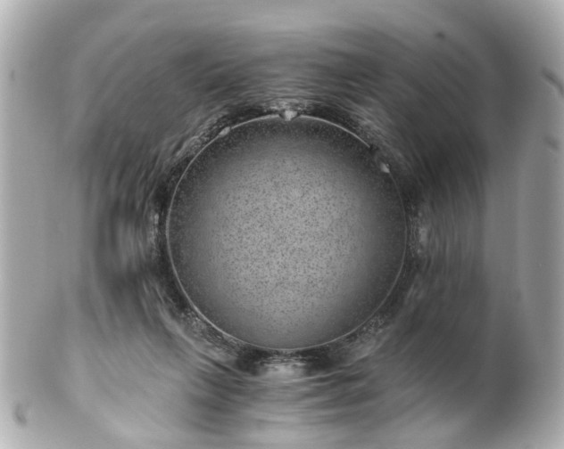 X0000100900263200807011227