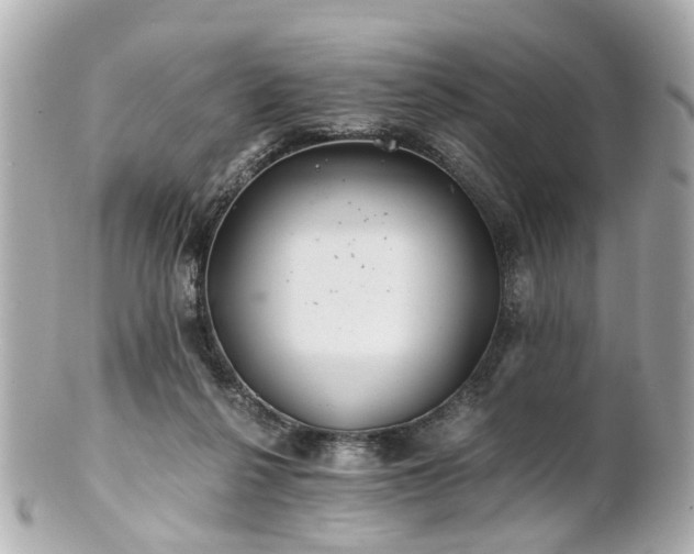 X0000100900264200807011227