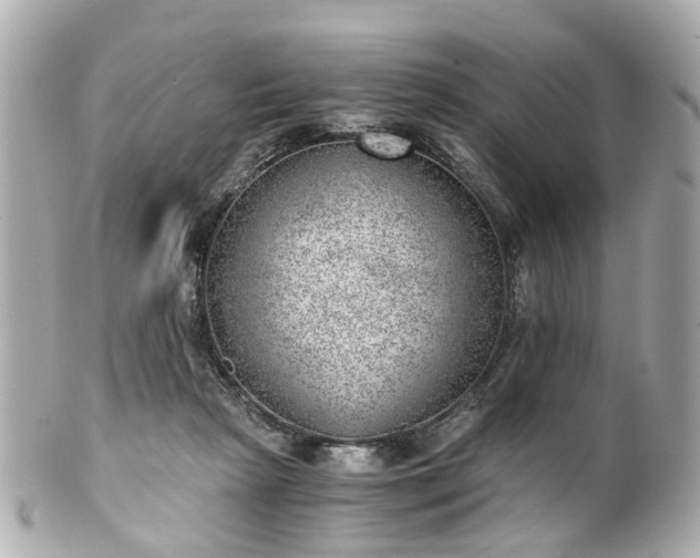 X0000100900265200807011227