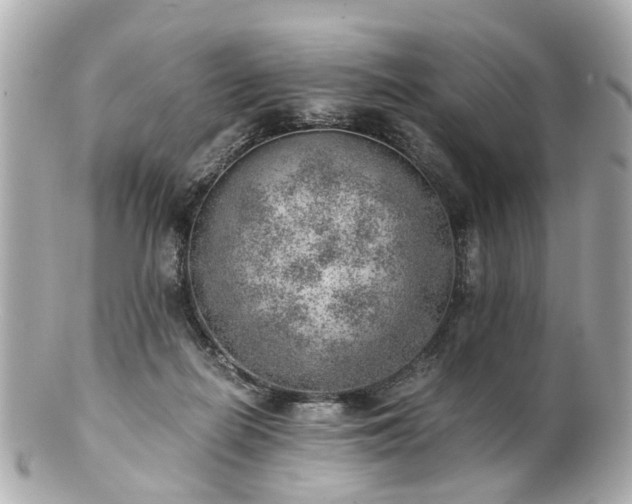 X0000100900266200807011227