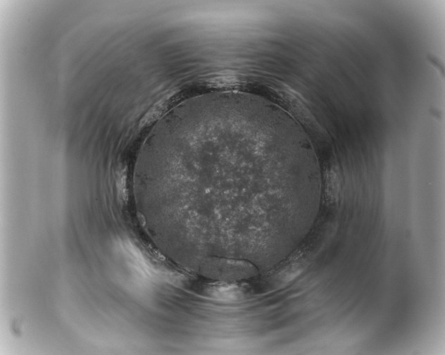 X0000100900267200807011227