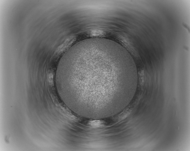 X0000100900269200807011227