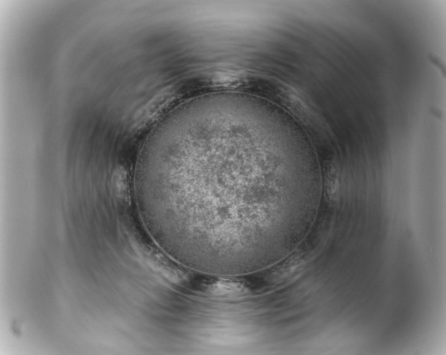 X0000100900270200807011227