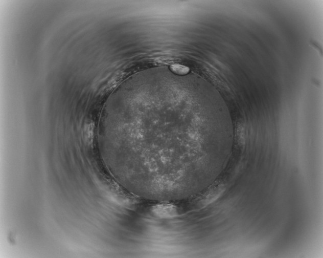 X0000100900271200807011227