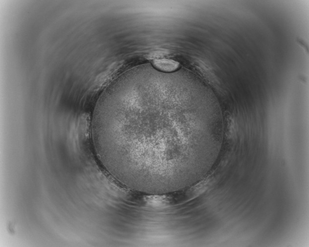 X0000100900273200807011227