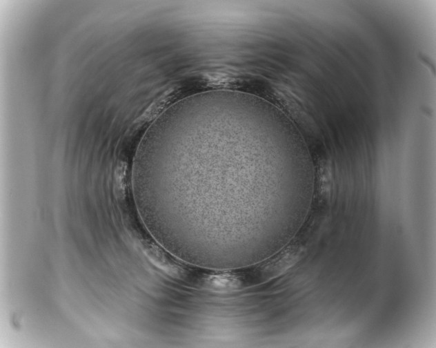 X0000100900275200807011227