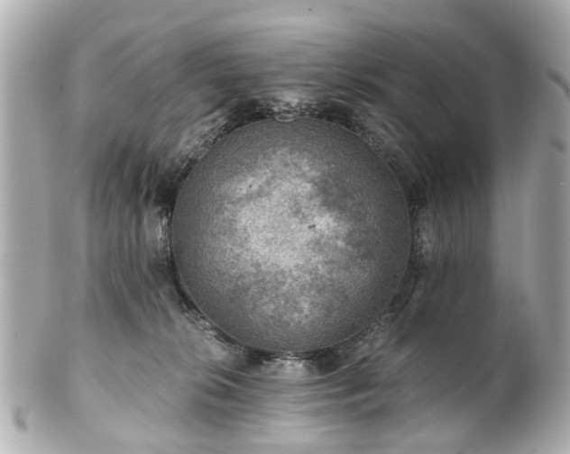 X0000100900276200807011227