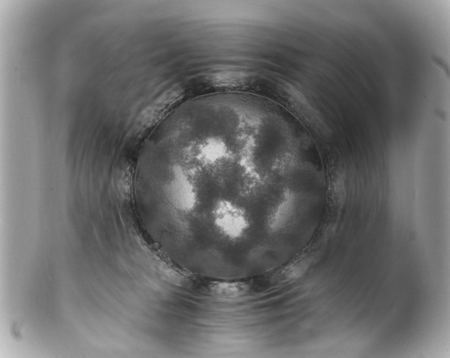 X0000100900277200807011227