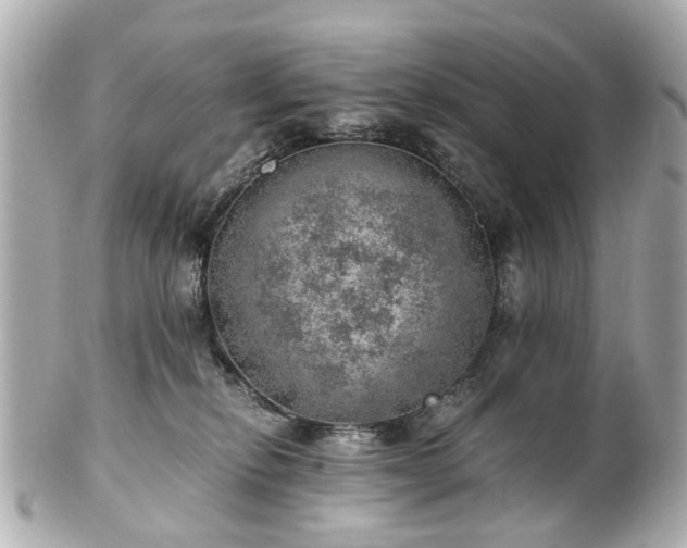 X0000100900278200807011227