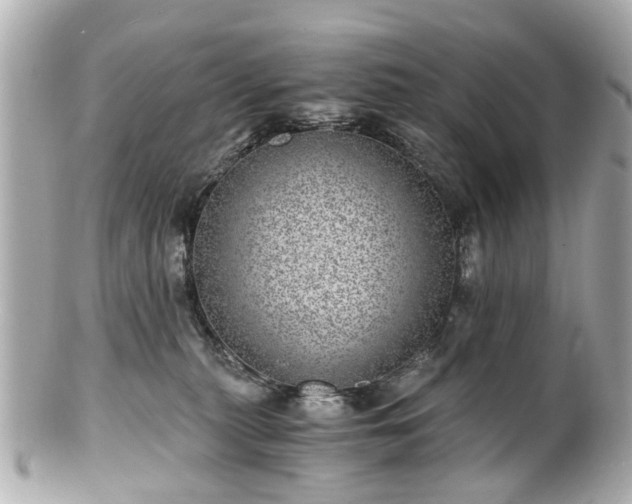 X0000100900279200807011227