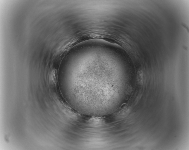 X0000100900280200807011228