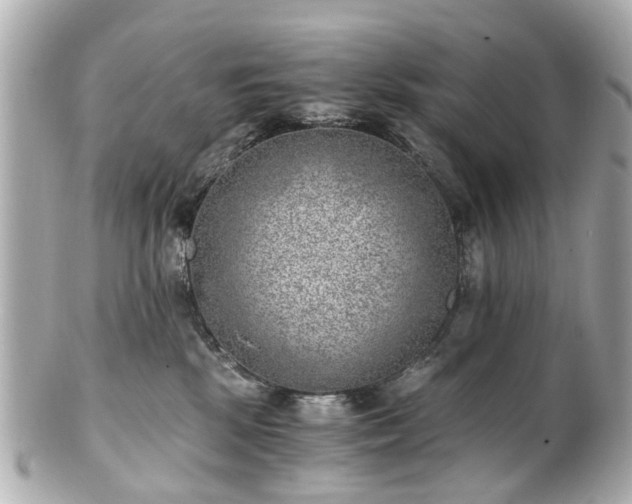 X0000100900281200807011228