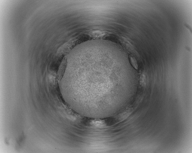 X0000100900283200807011228