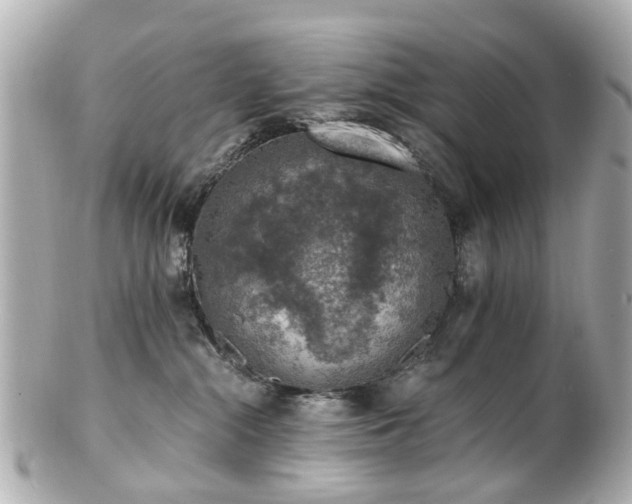 X0000100900284200807011228