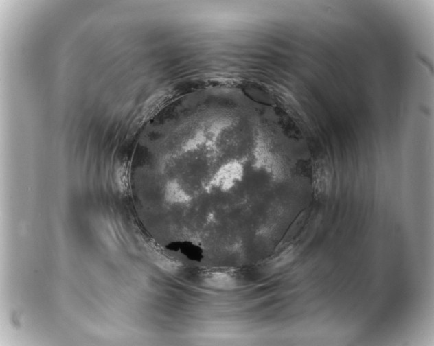 X0000100900285200807011228