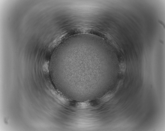 X0000100900286200807011228