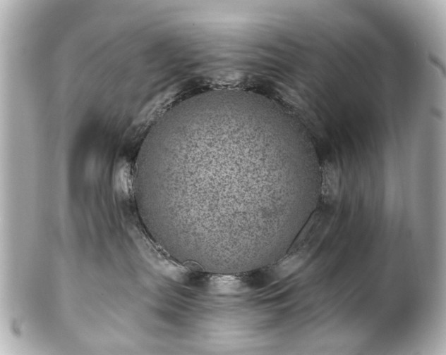 X0000100900287200807011228