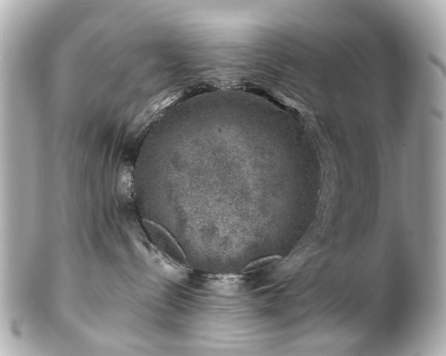 X0000100900288200807011228