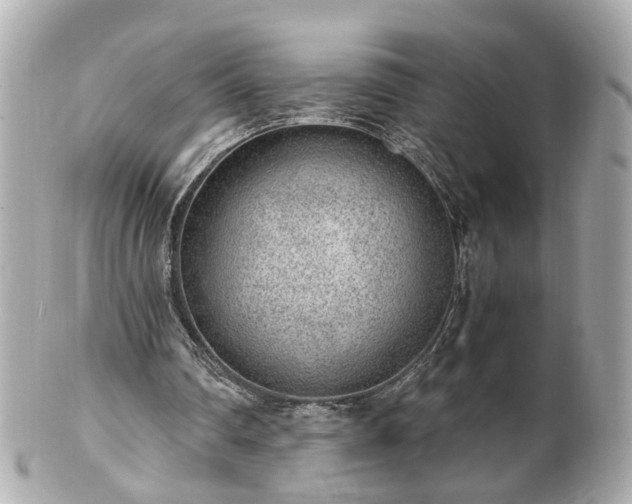 X0000100900290200807011227