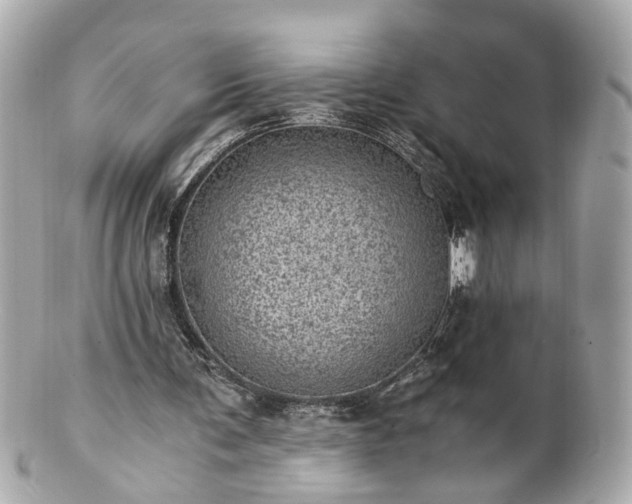 X0000100900291200807011227