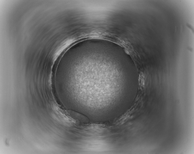 X0000100900292200807011227