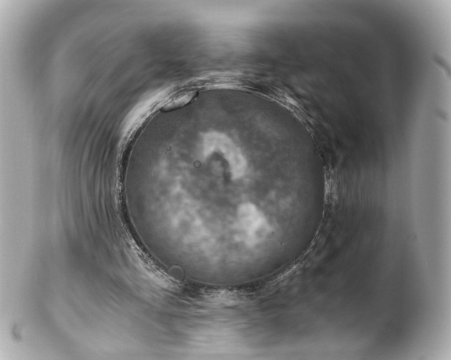 X0000100900293200807011227