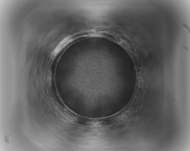 X0000100900295200807011227