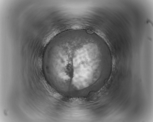 X0000100900297200807011227