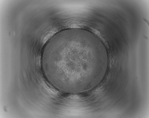 X0000100900299200807011227