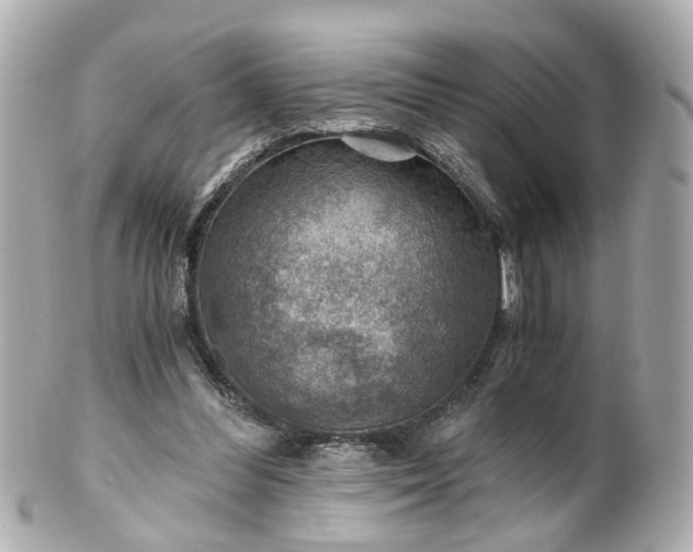 X0000100900300200807011227