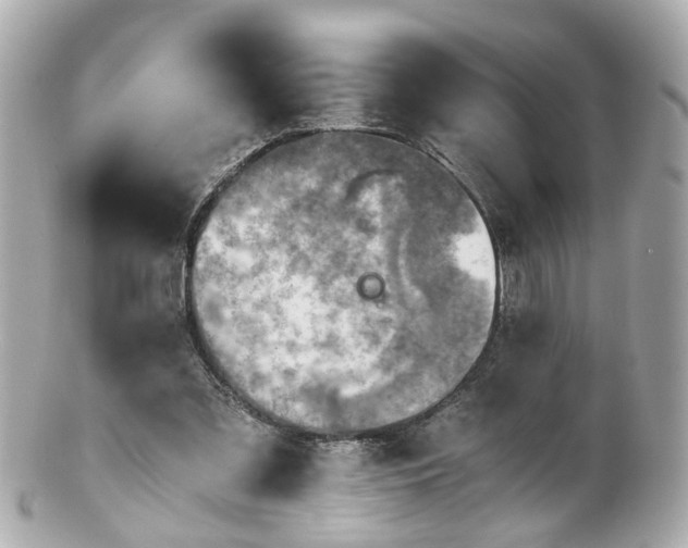 X0000100900301200807011227