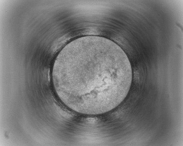 X0000100900302200807011227