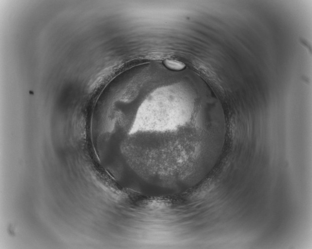 X0000100900303200807011227