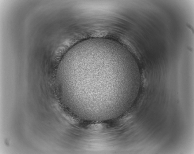 X0000100900307200807011227