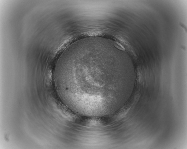 X0000100900308200807011227