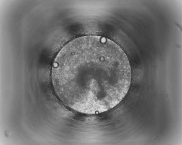 X0000100900309200807011227