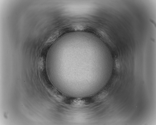 X0000100900311200807011227