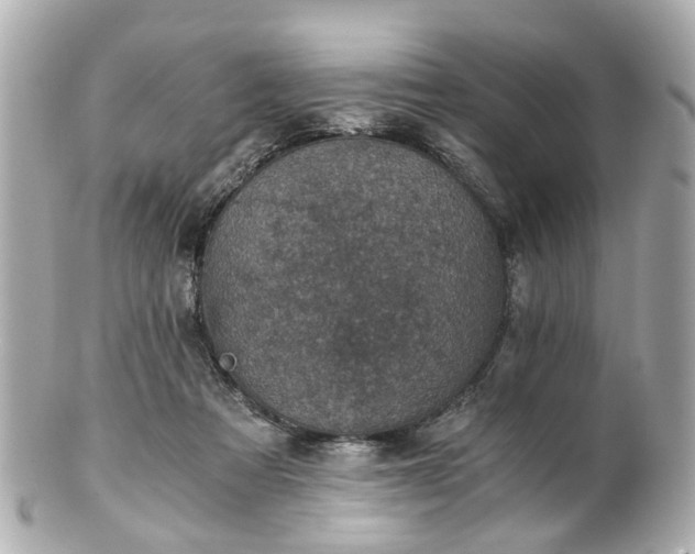 X0000100900313200807011227