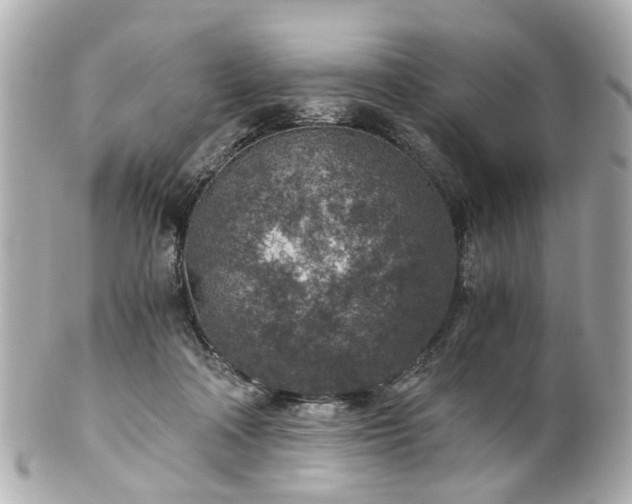 X0000100900314200807011227