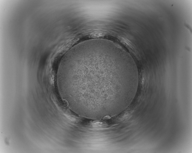 X0000100900315200807011227