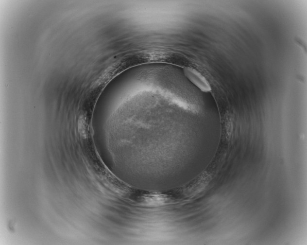 X0000100900316200807011227