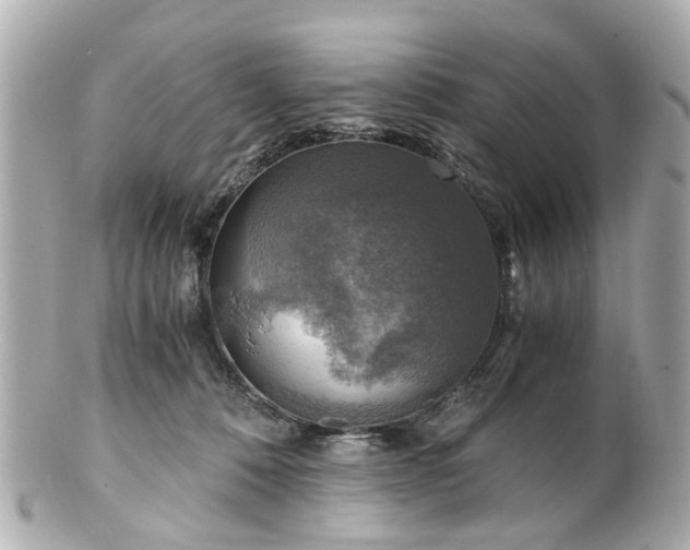 X0000100900320200807011227