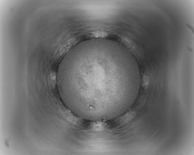 X0000100900321200807011226