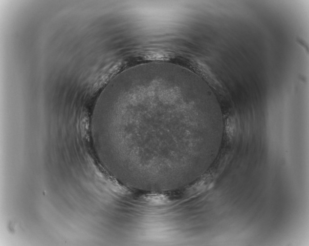 X0000100900322200807011226