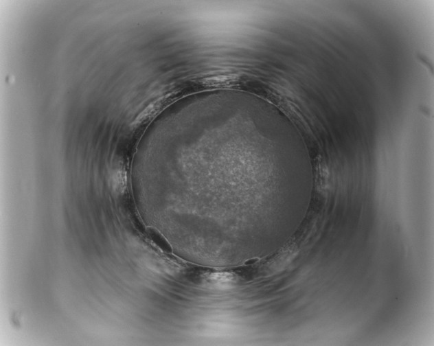 X0000100900324200807011226