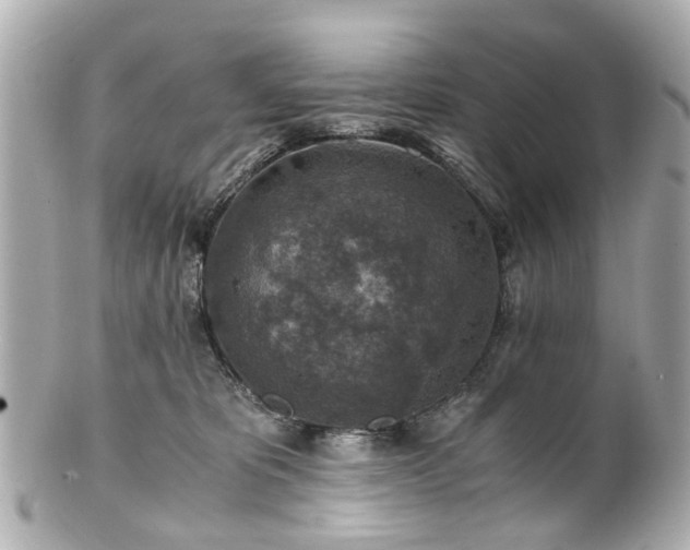 X0000100900325200807011226