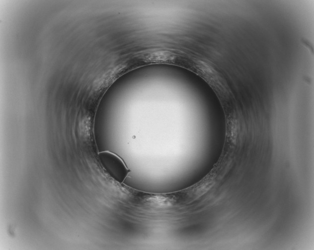 X0000100900326200807011226