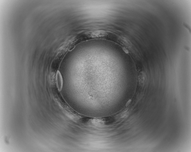 X0000100900327200807011226