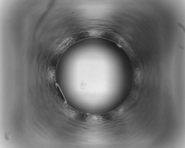 X0000100900329200807011226